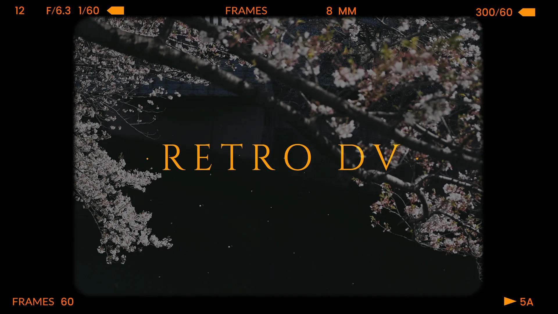 Retro DV