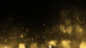 Shining New Year Element 15