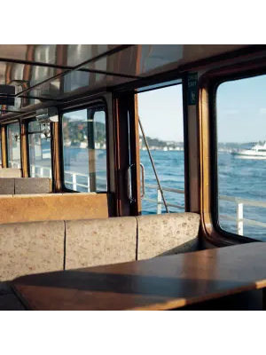 柏樹痕跡復古濾鏡