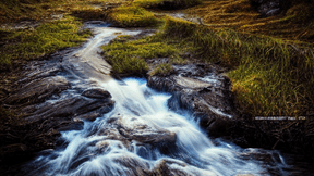 Play The Piano On Holidays