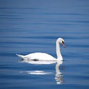 室內褪色藍色影片濾鏡